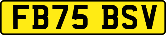 FB75BSV