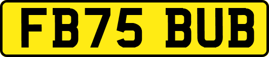 FB75BUB