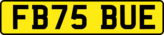 FB75BUE