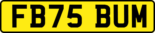 FB75BUM