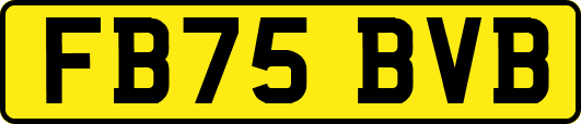 FB75BVB