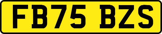 FB75BZS