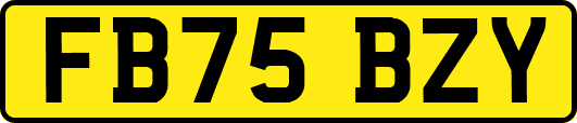 FB75BZY