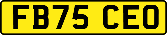 FB75CEO