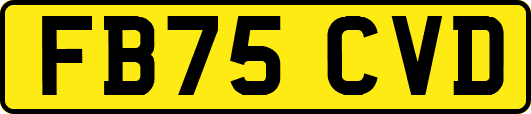 FB75CVD