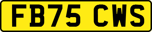FB75CWS