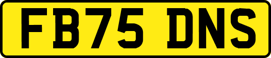 FB75DNS
