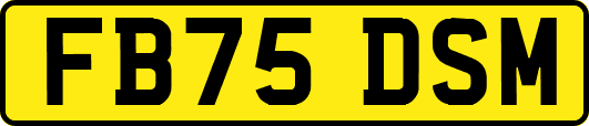 FB75DSM