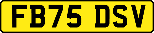 FB75DSV