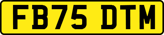 FB75DTM