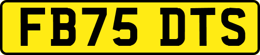 FB75DTS