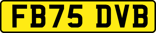 FB75DVB
