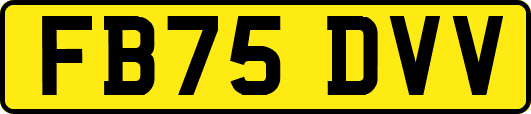 FB75DVV