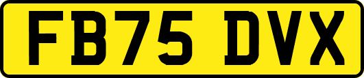 FB75DVX