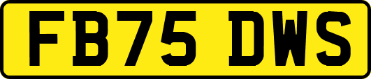 FB75DWS