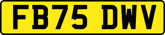 FB75DWV