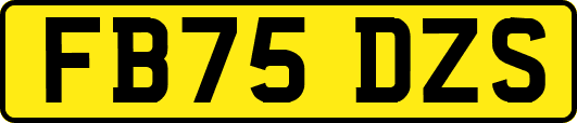 FB75DZS