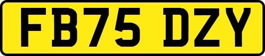 FB75DZY