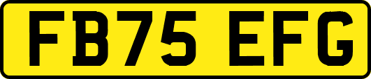 FB75EFG