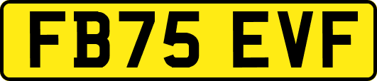 FB75EVF