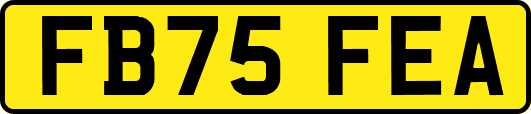FB75FEA