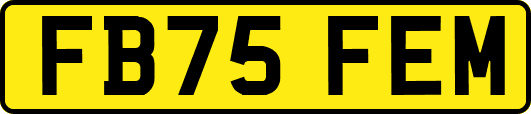 FB75FEM