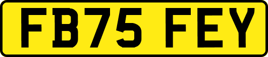 FB75FEY