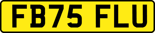 FB75FLU