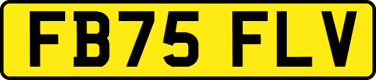 FB75FLV