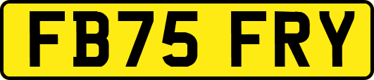 FB75FRY