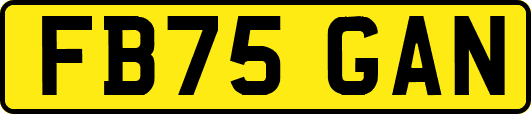FB75GAN