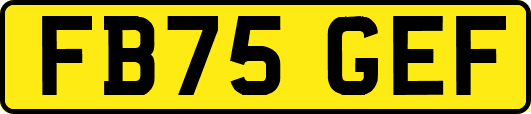 FB75GEF