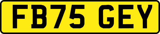 FB75GEY