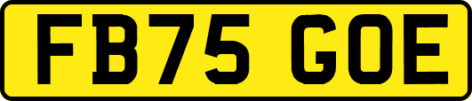 FB75GOE