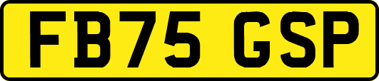 FB75GSP