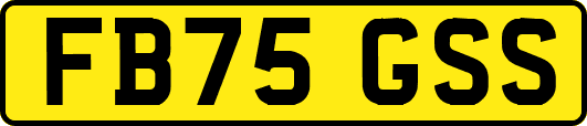 FB75GSS