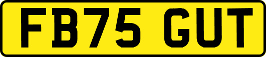 FB75GUT