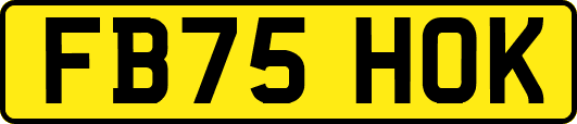 FB75HOK