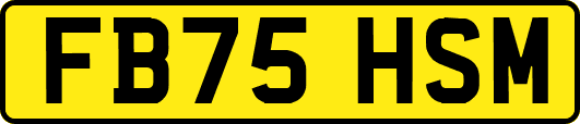FB75HSM