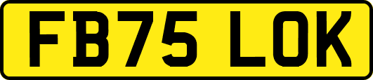 FB75LOK