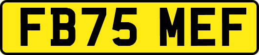FB75MEF