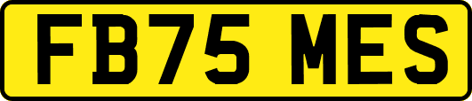 FB75MES
