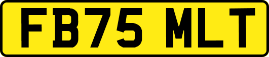 FB75MLT