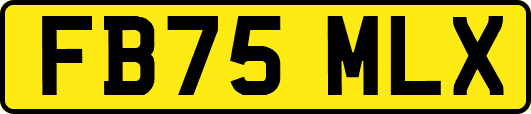 FB75MLX