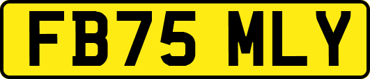 FB75MLY