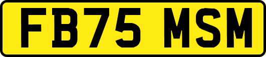 FB75MSM