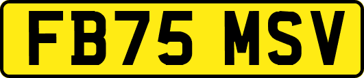 FB75MSV