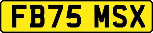 FB75MSX