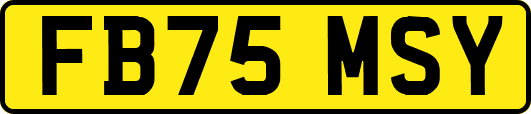 FB75MSY
