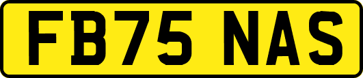 FB75NAS